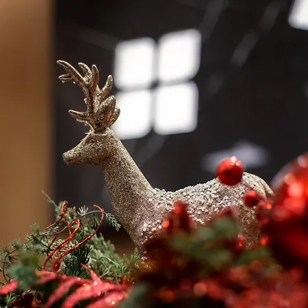 Hilton Garden 4* טיראנה